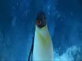 happy feet happy birthday türkce happy feet happy birthday türkce