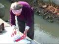 videos de Vanda, ora come allora, questi luoghi le appartengono
