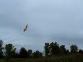 rc plane crashes!