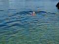 Cali swimming
