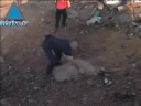 قصف  فصائل المقاومة الفلسطينية