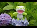 アジサイの丘(牛原山町民の森) アジサイの丘(牛原山町民の森)