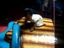 CLIMBING  ACTC