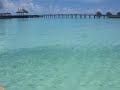 Sharks Chasing Small Fry Maldives Mayaafushi