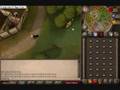 P2P-Money-Making-Gui