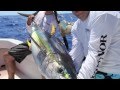 Yellowfin tuna caught on Fin-Nor Santiago