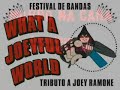 Murro na Cara no What a Joeyful World 04