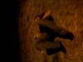 videos de curras, un muerto en burgos. parte 1