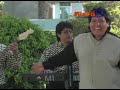 Homenaje Grupo Nectar