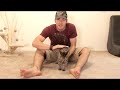 How To Annoy Your Cat... The Nice Way! How To Annoy Your Cat... The Nice Way!