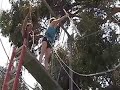 Quantum-Touch Trapeze Quantum-Touch Trapeze