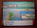 Barloche Shiny