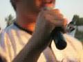 videos de Grizzly Idol Night