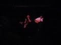 Leejay Abucayan and Stevie Nader part 2