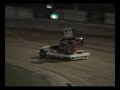 TIGER WOODS Race Driver