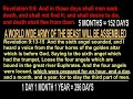 THE END TIME PROPHET