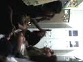 Musiquinhas na cozinha