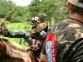 videos de Curimataí(Farra na ida para o rancho do capão das pombas)