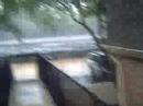 \"Tormenta Tropical\"