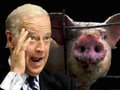 Biden warns Swine Flu not over yet