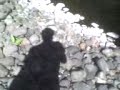 Campo pata ignao 4 Campo pata ignao 4