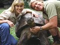 Steve Irwin Tribute Steve Irwin Tribute
