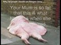 You Mum Jokes -Funny