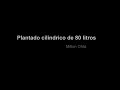 Aquario Cilindrico plantado de Milton Ohta 
