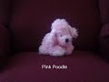 Webkinz & LilKinz