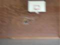 videos de 081223 Toni Flug-1 Turnhalle