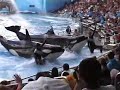 Seaworld Seaworld
