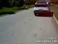 stupid guy crashes with motorbike into tree