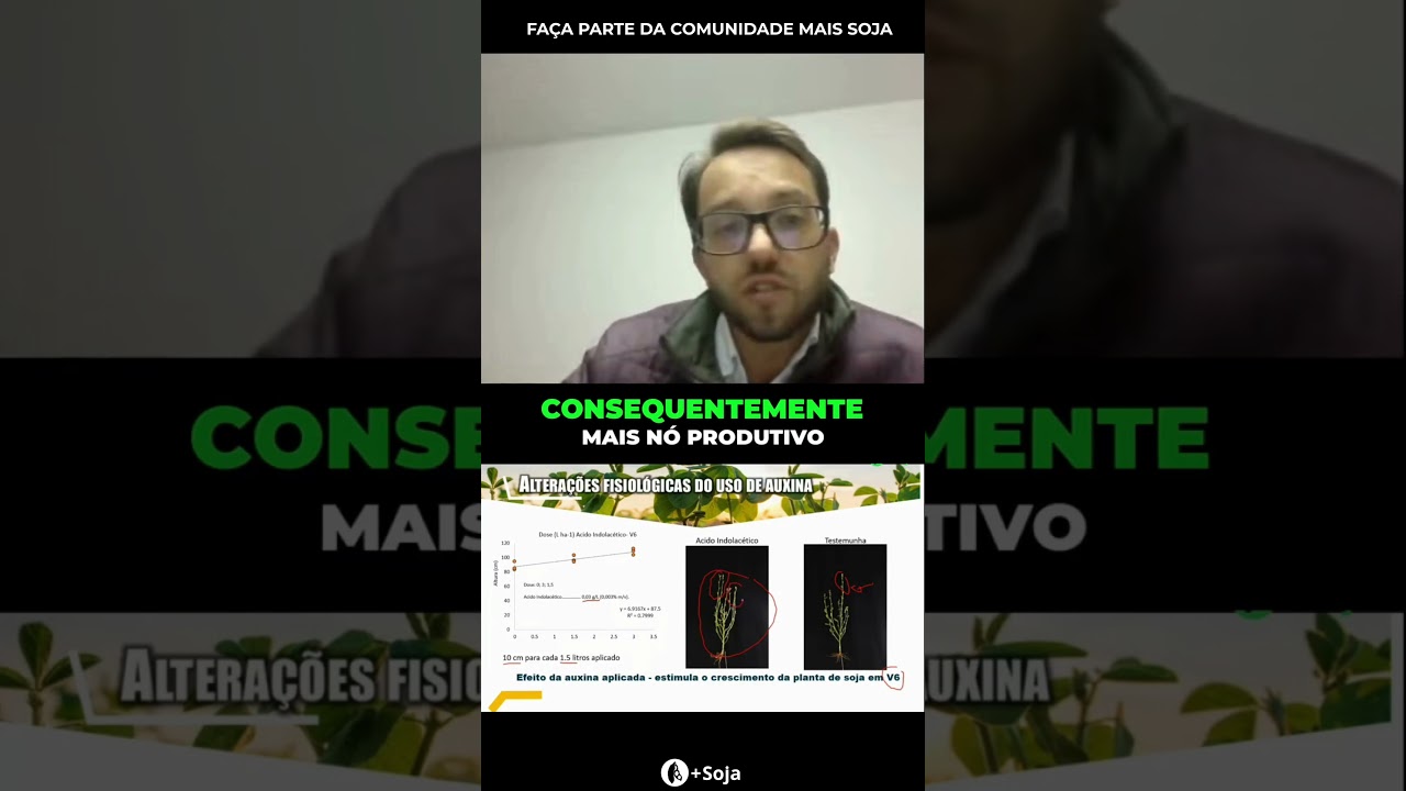 De 44,5 para 64 sacos. Essa diferença tem nome: ácido indolacético #agro #maissoja