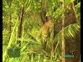 V�deo Crysis - LOW VS ULTRA HIGH!!!!!!!!!!!!!!!!!