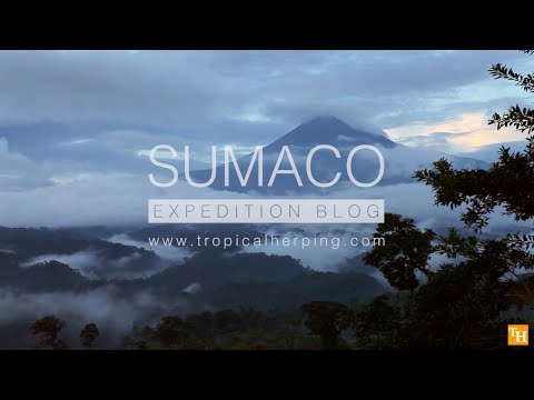 Sumaco Expedition
