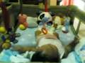 Bruns and his hanging toys 1