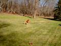 Mag with Frisbee 11-22-08.mpg