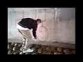 seek throwie seek throwie