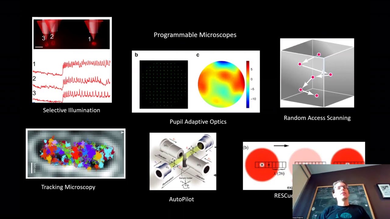Kaspar Podgorski: "How programmable microscopes can improve activity imaging"