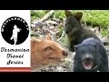 Tasmania Travel Show