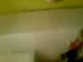 videos de Joe loves biscuits