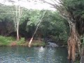 Puna gets pwned - Ultimate belly flop