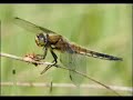 Join this tour of our nation's hidden gem, the Little Pend Oreille National Wildlife Refuge. Come see the wonders, beauty and wildlife of the LPO. Thanks to all the Friends of the LPO, staff, and photo contest participants who contributed pictures for this slideshow.