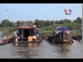 Ecotourism of Rare & Endangered Birds On Tonle Sap