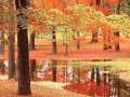Gheorghe Zamfir - Love Story