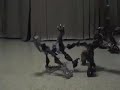 Mahari vs. Baraki Mahari vs. Baraki