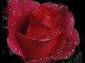 diamond-rios-one-more-day.html