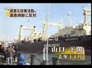 issue of whaling in Japan media
