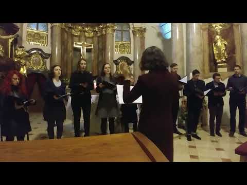 Youtube Video uidcnVzwOjY