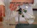 Oxygen Gas Collection